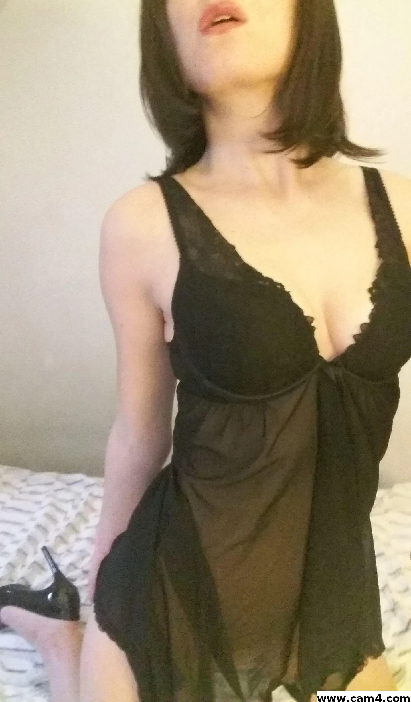 Seleene_lv image 0